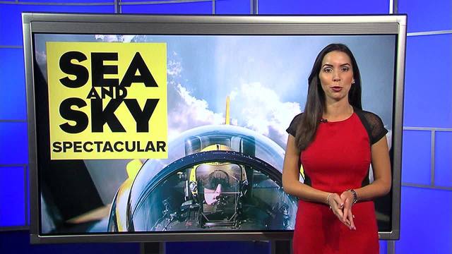 Action News Jax reporter Lorena Inclan's flight with Blue Angels pilot ...
